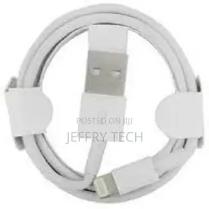 iPhone X Charging Cable