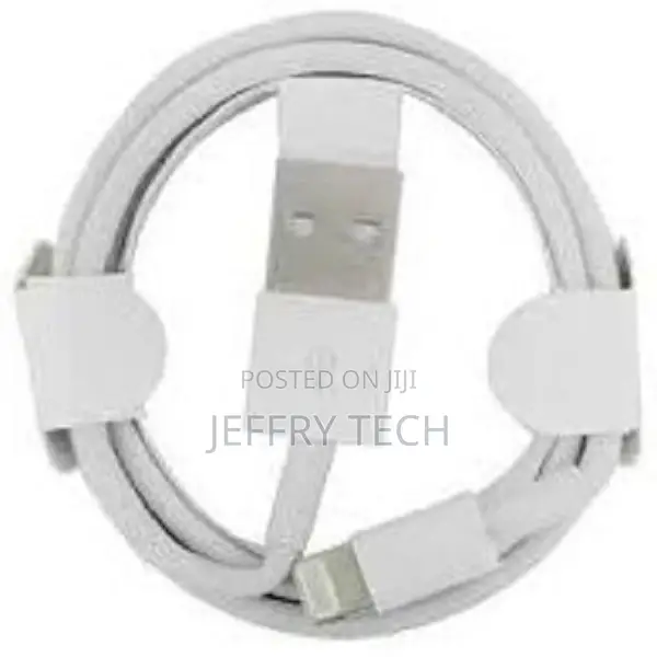 iPhone X Charging Cable