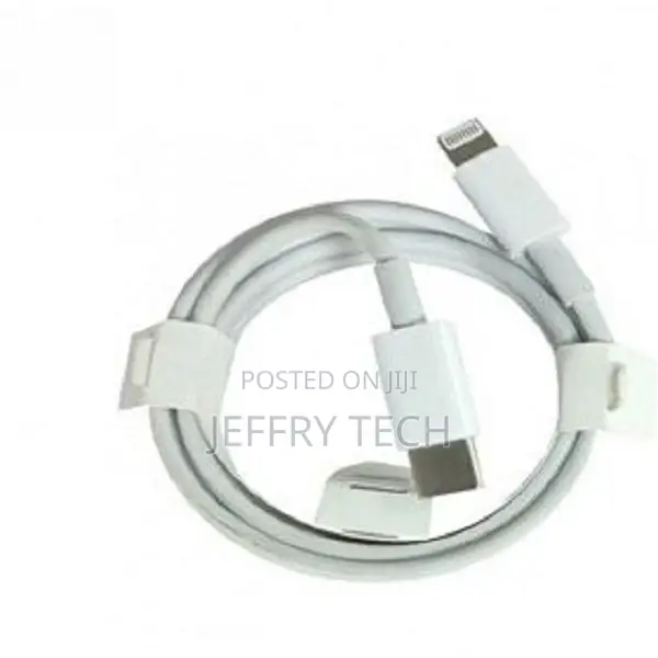 iPhone 11 Pro Charger Cable