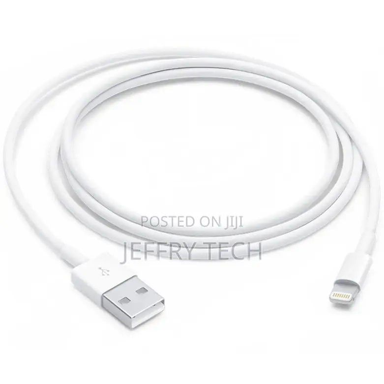iPhone 6 Charger Cable