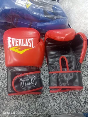 Everlast Boxing Gloves Heavy Duty Mitts Wholesale Price