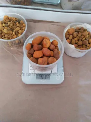 Ox Gallstones Per Gram