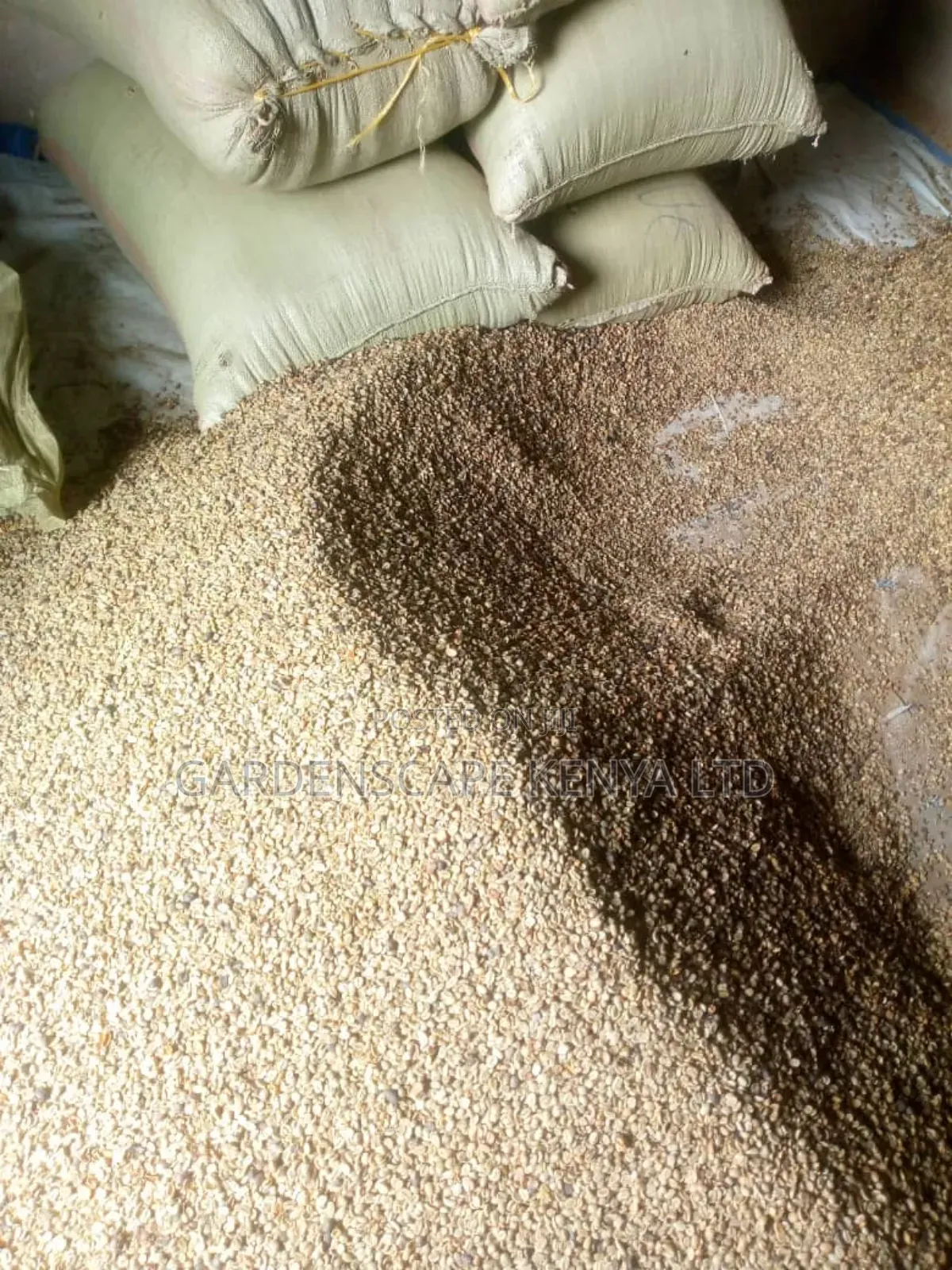 Arabica and Robusta Coffee