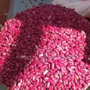 Saitoti Beans 1 Kg