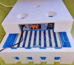 Smart 64eggs Incubator