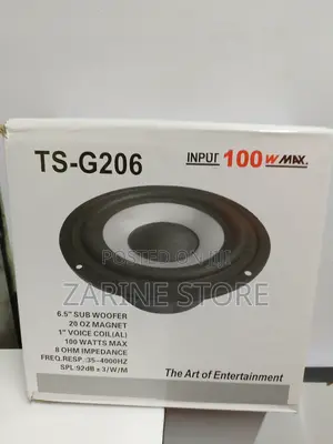 Ts-G206 6.5" Sub Woofer With 100W Input for Entertainment