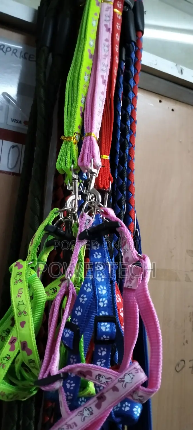 Dog Leash ,Dog Leash