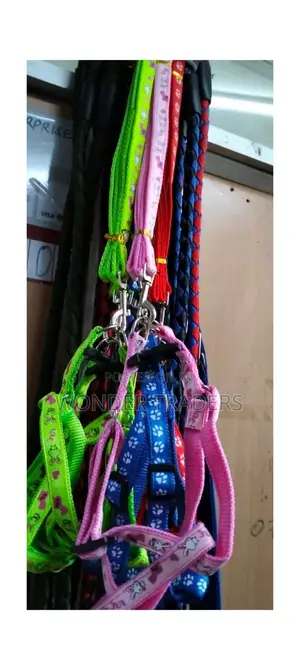 Chiwawa Dog Leash With Harness