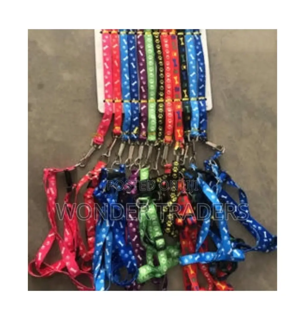 Chiwawa Leash/ Puppy Leash