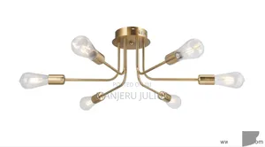 6bulbs Ceiling Chandelier