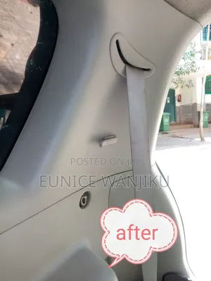 Plastic Cleaning Before and After