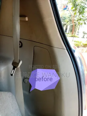 Plastic Cleaning Before and After