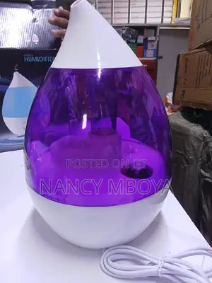 2.6 Litres Aroma Humidifier Humidifier Diffuser