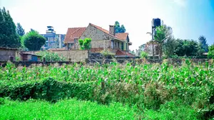 Prime Commercial 1/8 Acre Plot in Kikuyu, Sigona - Zambezi