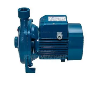 Pedrollo Heavy Duty Water Pump Cpm158