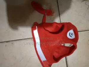 Padded Dog Harness and Leash - XL: Chest 43 – 49 Cm