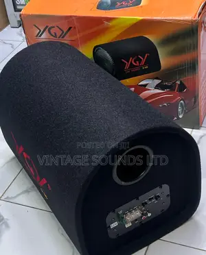 Ygy G10D Series 10” Active Powered Car Subwoofer ( 800watts)