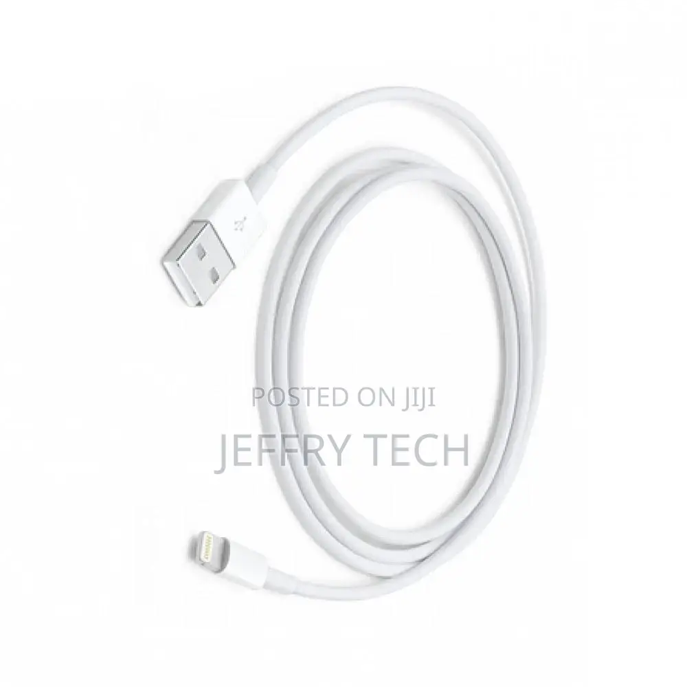 iPhone Lightning to USB Cable