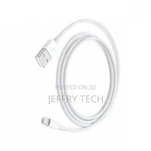 iPhone Lightning to USB Cable