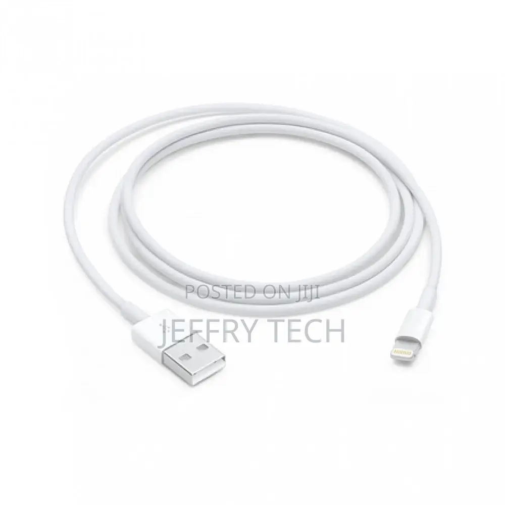 iPhone Lightning to USB Cable