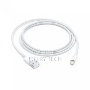 iPhone Lightning to USB Cable