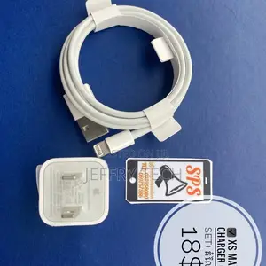 Original Xs Max Charger (1 Set)