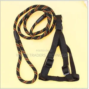Dog Leash / Harness With Collar