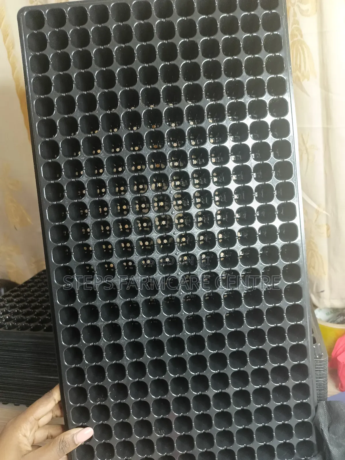 Quality Seedling Trays