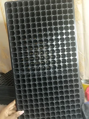 Quality Seedling Trays