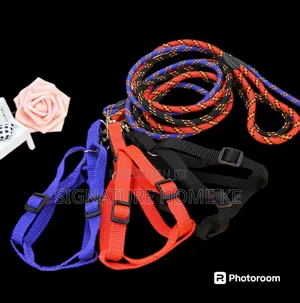 Dog Leash/Harness With Collar