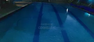 Swimming Pool Services