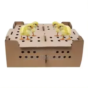Chicks Box Transportation