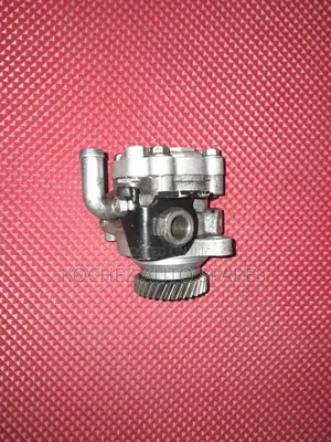 Power Steering Pump for Nissan Caravan ZD30 (Nguruwe)