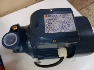 Water Pump/ 1.0hp Pedrollo Water Pump