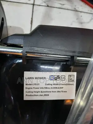 Locin Self Propelled 196 Cc Lawn Mower