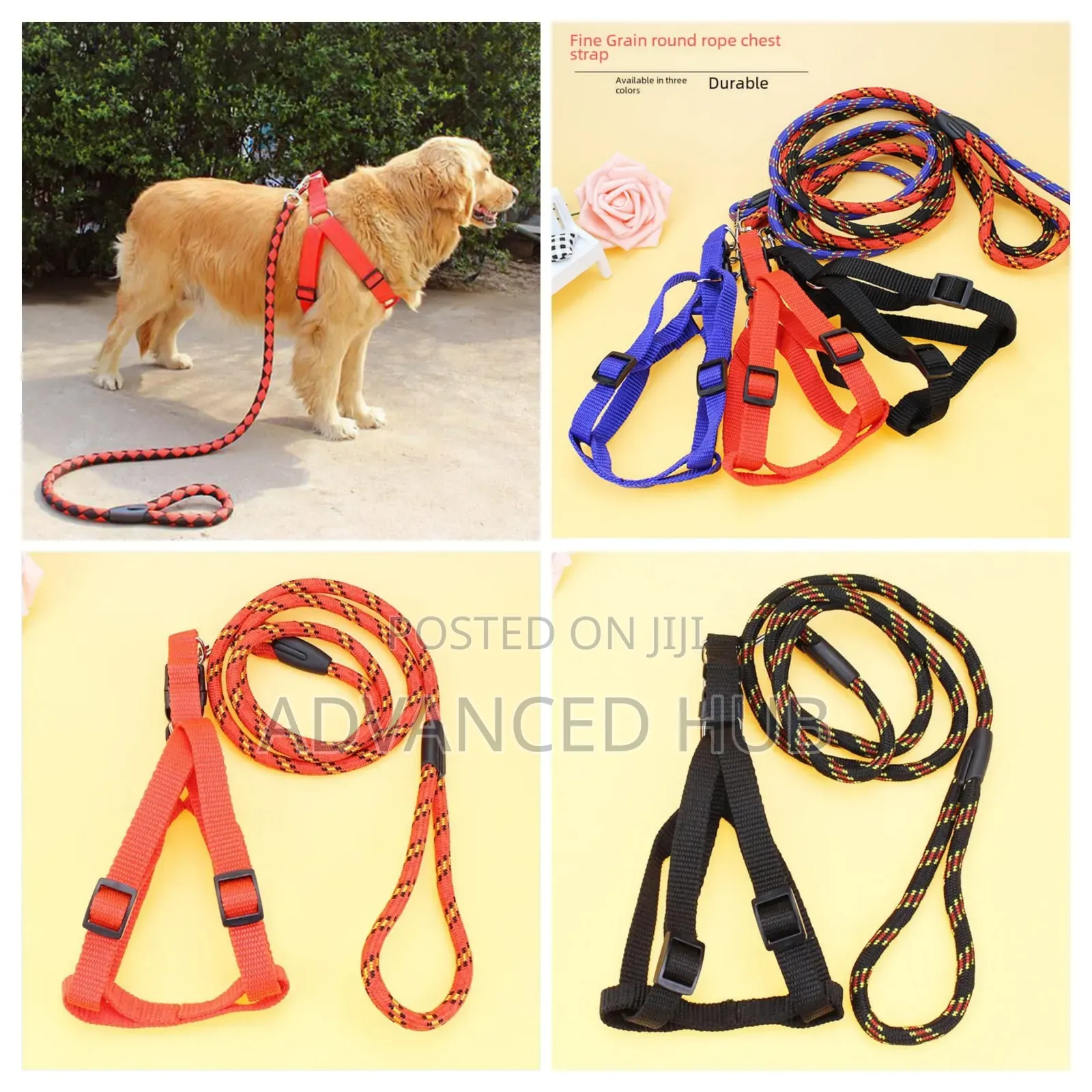 Dog Leash,Harness With Collar