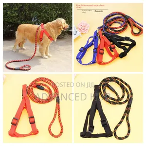 Dog Leash,Harness With Collar