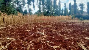 One Acre for Sale in Ngong