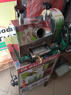 Sugar Cane Commercial Juicer