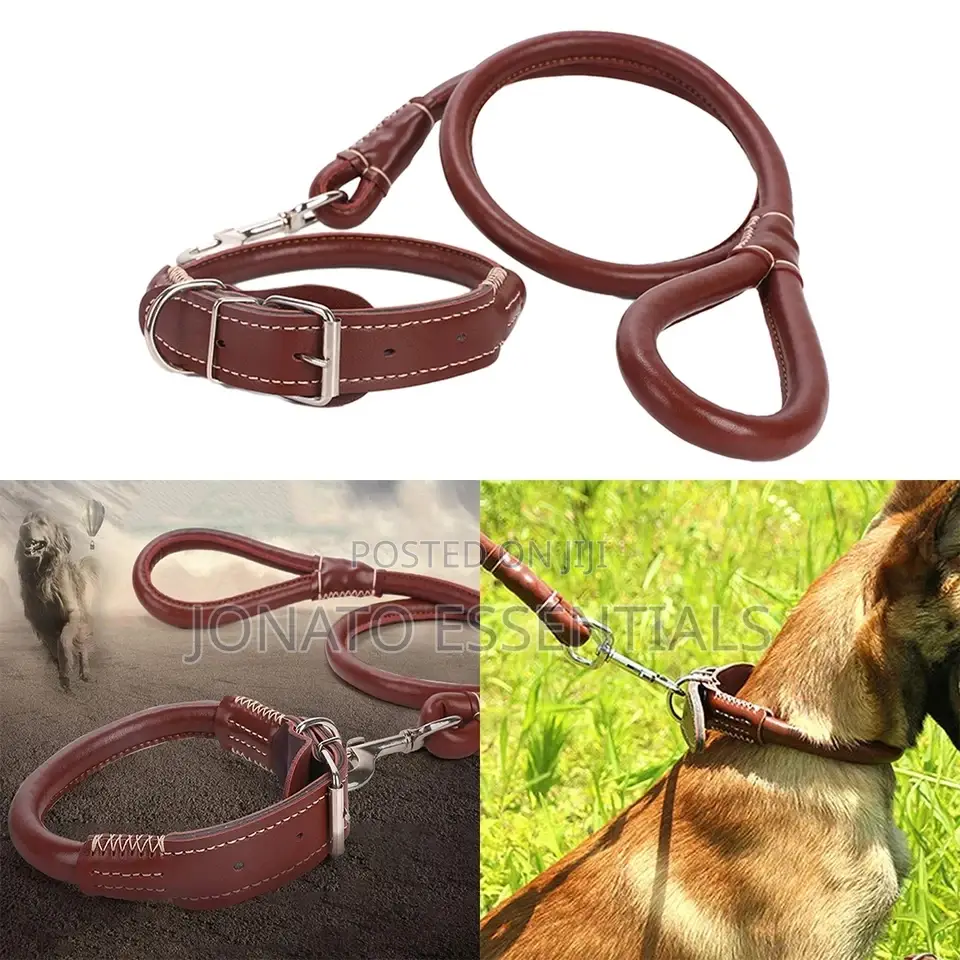 Leather Dog Collar and Leash