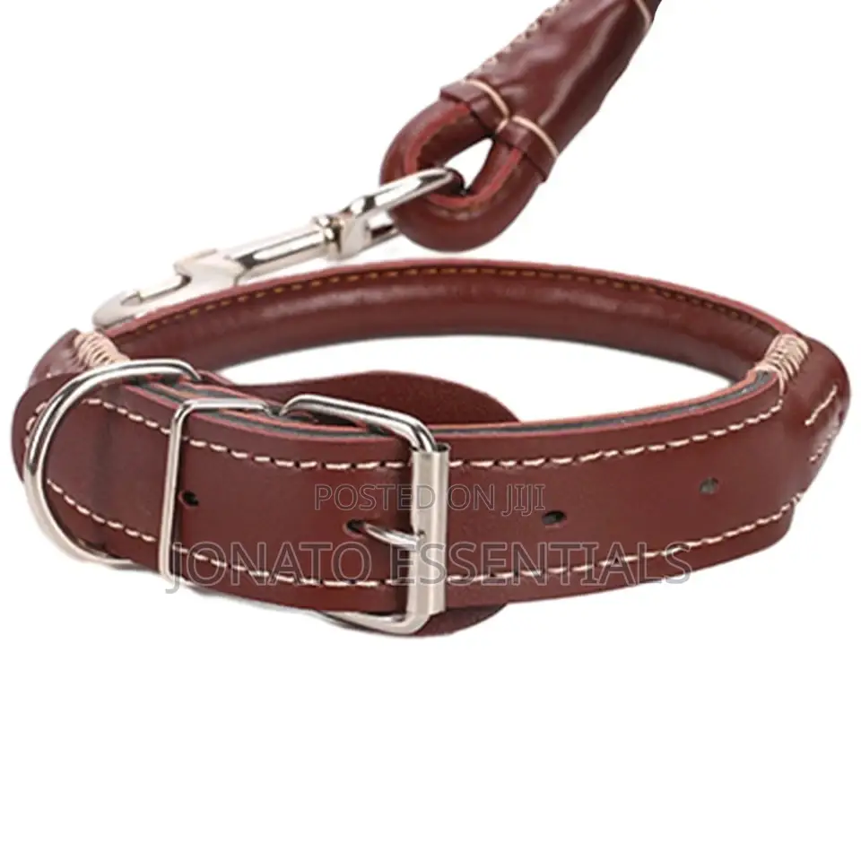 Leather Dog Collar and Leash