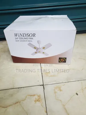Ceiling Fan 24 Inches Windsor