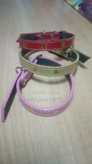Colourful Dog Collars - Small Size Suitable for Puppies