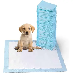 Potty Training Pads for Pets