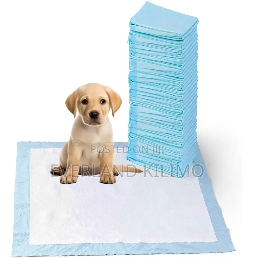 Potty Training Pads for Pets