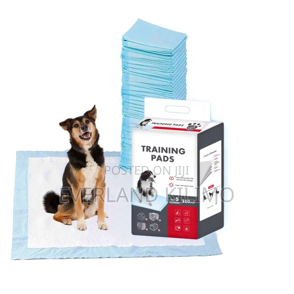 Potty Training Pads for Pets