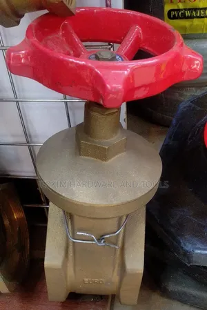 Gate Valve 4"