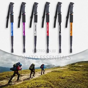 Anti-Shock Trekking Pole