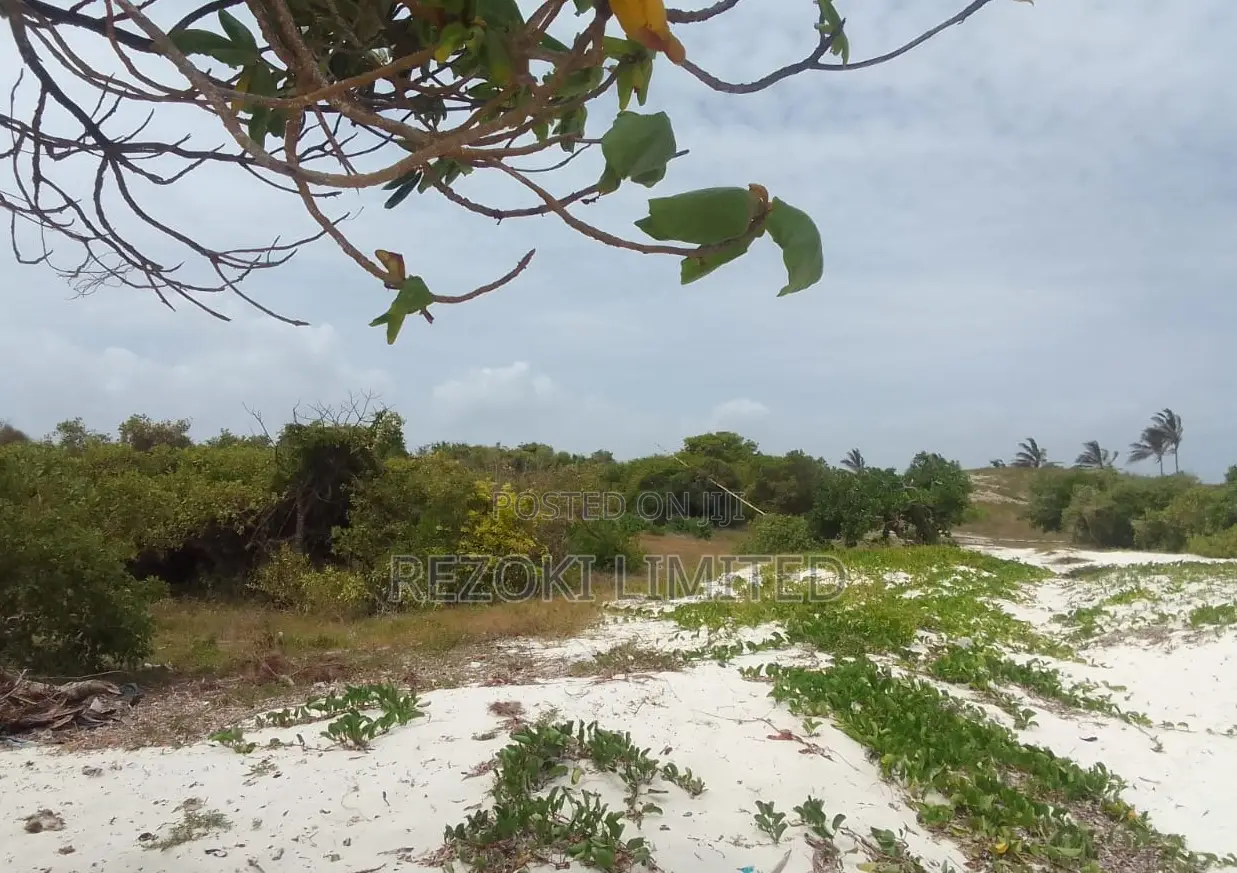 Beach Plot First-Row 1 Acre