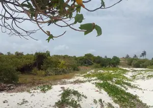 Beach Plot First-Row 1 Acre